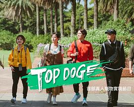 海角禁区《TOP DOG》免费在线观看