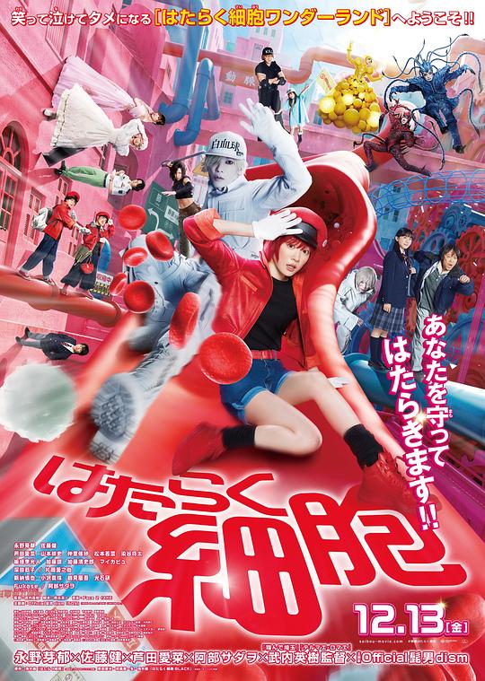 海角社区黑料吃瓜《工作细胞 真人版 はたらく細胞》免费在线观看