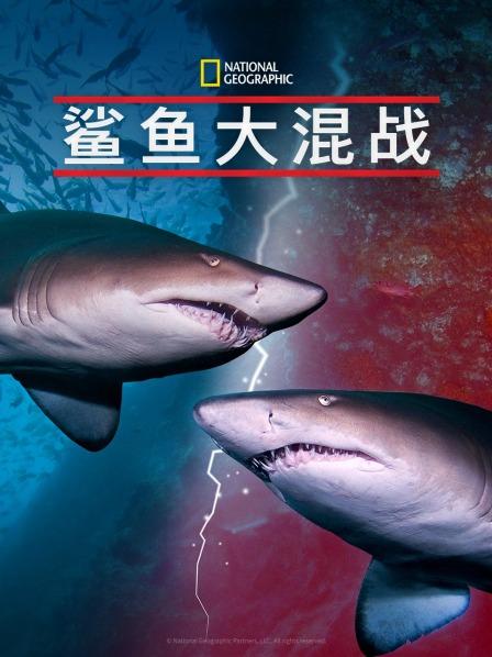 海角禁区《鲨鱼大混战》免费在线观看