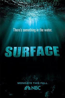 海角禁区《水下之秘 Surface》免费在线观看