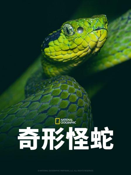 海角精品黑料《奇形怪蛇》免费在线观看